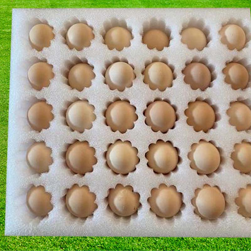 EPE egg packaging inner tray