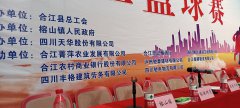 Help promote the construction of revitalization teams in mountainous villages